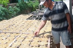 Permintaan kerupuk Asoy di Lebak meningkat jelang Ramadhan