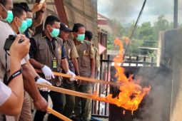 BKSDA Maluku musnahkan 1,6 ton kayu gaharu buaya asal SBT hasil tindak pidana