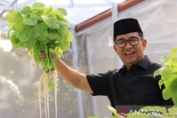 Pj Gubernur siapkan lahan embarkasi percontohan  rumah tanaman nasional
