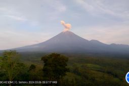 Gunung Semeru luncurkan abu vulkanik setinggi 800 meter