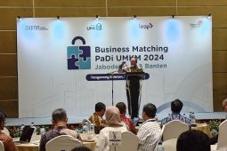 31 ribu pelaku UMKM Jabodetabek-Banten aktif di PaDI