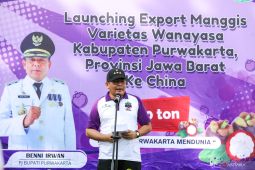 Ratusan ton manggis lokal Purwakarta diekspor ke China
