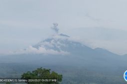 Erupsi Semeru, tinggi letusan capai satu km di atas puncak