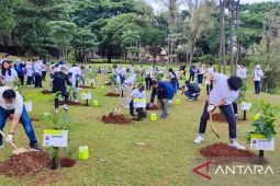 InJourney menanam 15.000 pohon di sejumlah daerah dukung penghijauan