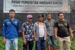 Wabup Tapsel terus bantu petani puluhan ribu bibit kopi untuk Saipar Dolok Hole
