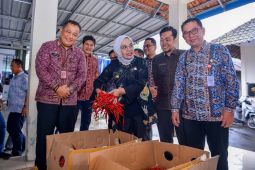 Jambi datangkan komoditas cabai dari Kabupaten Sleman