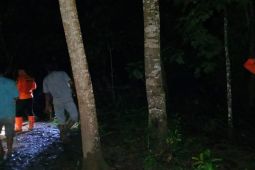 Basarnas Kendari cari pria yang hilang di hutan sagu