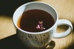 Ramuan herbal yang cocok dibawa saat mudik lebaran