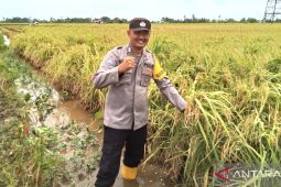 Bhabinkamtibmas motivasi warga Desa Handil Birayang Atas bercocok tanam