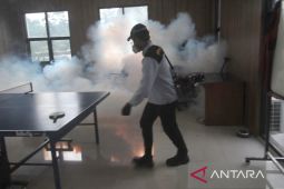 Dinkes Bogor catat kasus DBD melonjak secara signifikan