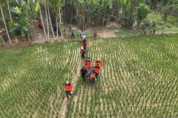 Tim SAR menemukan satu lagi korban bencana alam di Pesisir Selatan