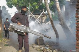 Kemenkes sebut kasus dengue meningkat dua kali lipat