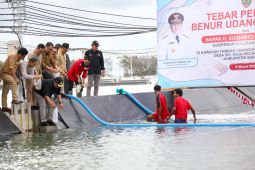 PLN UID Kalselteng dukung elektrifikasi kawasan "Shrimp Estate" di Kalteng