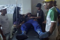 BKSDA Bengkulu-Lampung segera evakuasi harimau di Suoh