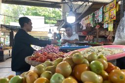 Harga tomat di Gorontalo turun pada awal Ramadhan