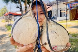 Permintaan kelapa bakar saat Ramadhan di Aceh Barat capai 1.000 butir/hari