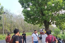 Polres Simalungun selidiki peredaran narkoba di area perkebunan karet