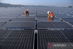 Cirata solar plant on track, gaining global attention: UAE's Masdar