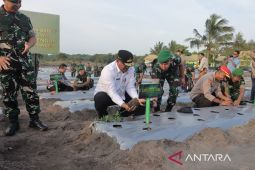 Pemprov Babel-Korem 045 gelar "Semarak" tanam 60.000 cabai
