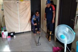 Warga Palangka Raya diminta waspada ular masuk rumah saat banjir