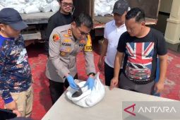 Polres Bangka Barat gagalkan penyelundupan 273 karung bijih timah