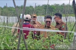 Pemkab Kukar  alokasikan anggaran Rp700 miliar untuk pertanian