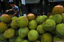 Berikut ini makanan dan minuman yang bisa redakan keracunan