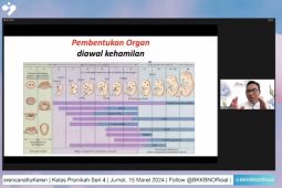 BKKBN ingatkan pentingnya prakonsepsi ketimbang "pre-wedding"