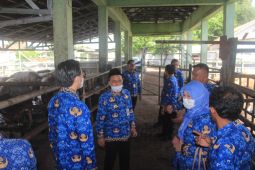 Pj Wali Kota Serang sebut RPH perlu ada perbaikan menyeluruh