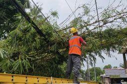 PLN UIW MMU siagakan petugas lapangan amankan sistem kelistrikan saat cuaca ekstrem