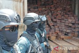 SPIL dukung penegakan hukum terhadap sindikat kayu ilegal