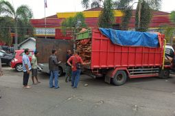 Polda Bengkulu sita 291 potong kayu jenis meranti