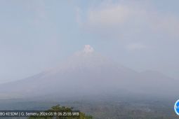 Gunung Semeru erupsi lagi letusannya setinggi 500 meter