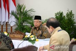 Wapres minta jajaran evaluasi dan analisis langkah penurunan tengkes