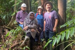 Pakar: Pembakaran lahan gambut percepat pemanasan global