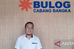 Bulog Bangka pasok 15 ton daging beku menjelang Idul Fitri