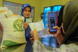 Produksi beras Januari-Oktober 2024 di Lebak surplus 308.588 ton