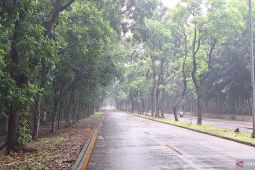 Hutan Kota Kampus UI, lebih dari sekadar menghijaukan kawasan