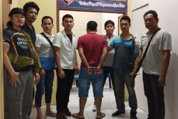 Pelaku pencurian mobil di Pesisir Barat Lampung dibekuk polisi