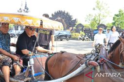 Pemkab Jembrana bangkitkan dokar sebagai moda transportasi wisata