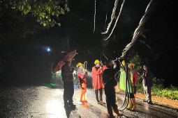 PLN atasi 40 gangguan listrik saat cuaca ekstrem di Bali