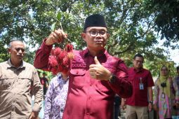 Rambutan Parakan sah tercatat sebagai Indikasi Geografis Tangerang