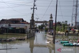 Banjir mulai surut, Warga Demak mulai pulang ke rumahnya