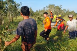 Tim SAR gabungan cari warga diduga hilang diserang buaya