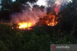 Patroli polisi respons cepat kebakaran lahan  di Samarinda