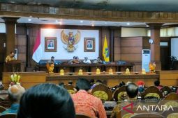Raperda insentif investasi beri perlindungan budaya