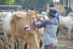 Pemkab Purwakarta sebar tim kesehatan hewan ternak jelang lebaran