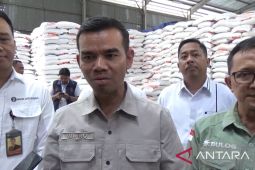 Bapanas jamin ketersediaan beras SPHP di Bali cukup buat Lebaran