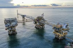 Upstream oil, gas sector key to energy self-sufficiency: minister