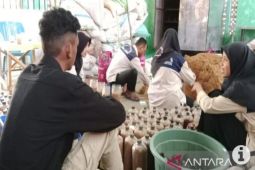Kotabaru DPRD member empowers millennial farmers to cultivate mushroom